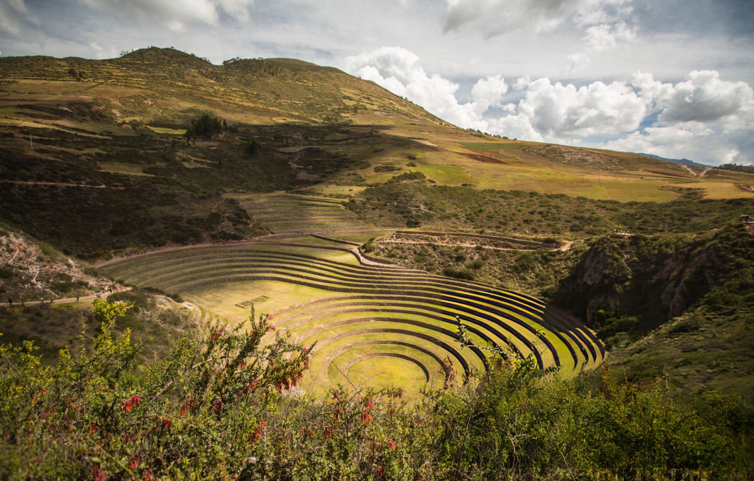 DE LOS ENIGMAS A LOS INCAS