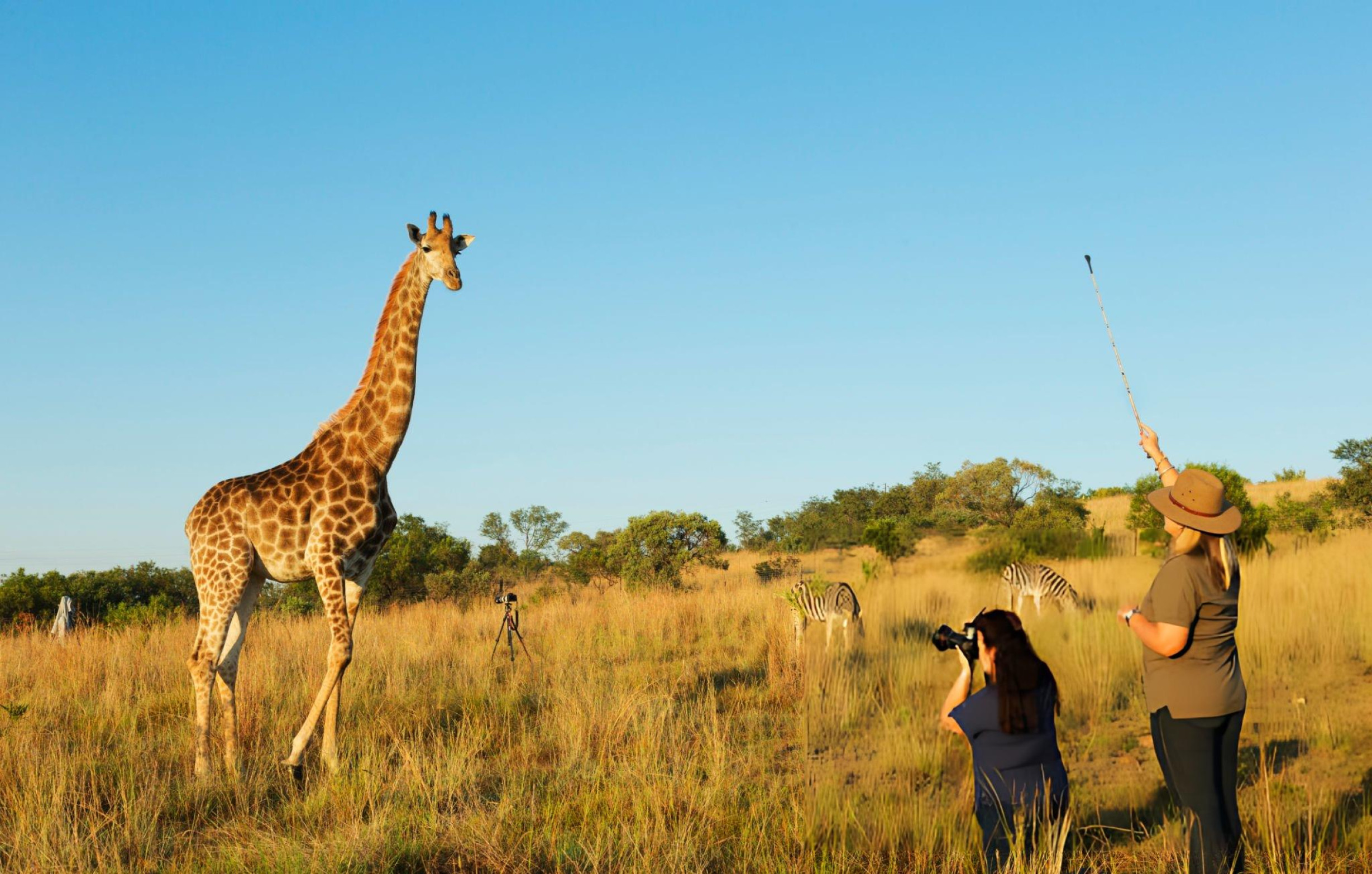 DESCUBRIENDO SUDAFRICA